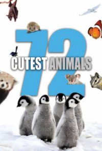72 Cutest Animals Cover, Poster, Blu-ray,  Bild