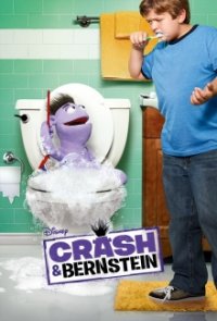 Crash & Bernstein Cover, Online, Poster