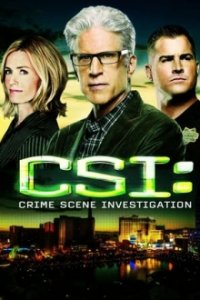Cover CSI: Den Tätern auf der Spur, TV-Serie, Poster