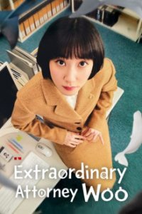 Extraordinary Attorney Woo Cover, Poster, Blu-ray,  Bild