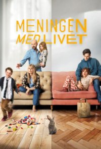 Meaning of Life Cover, Online, Poster
