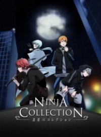 Ninja Collection Cover, Online, Poster
