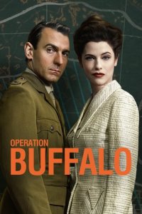 Operation Buffalo Cover, Online, Poster