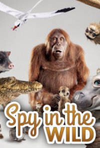 Cover Spione im Tierreich, TV-Serie, Poster