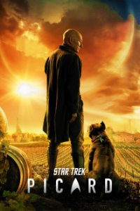 Star Trek: Picard Cover, Online, Poster