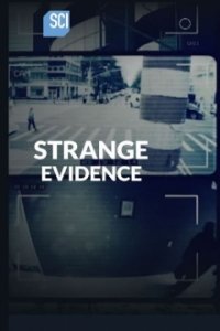 Strange Evidence Cover, Poster, Blu-ray,  Bild