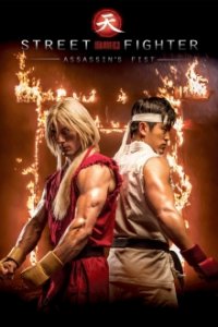 Cover Street Fighter: Assassin's Fist, TV-Serie, Poster