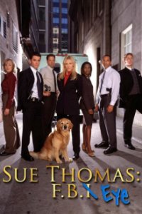 Sue Thomas: F.B.I. Cover, Poster, Blu-ray,  Bild