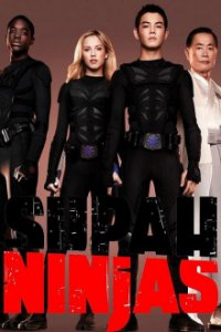 Supah Ninjas Cover, Online, Poster