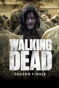 The Walking Dead Cover, Online, Poster