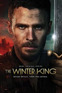 The Winter King Cover, Poster, Blu-ray,  Bild