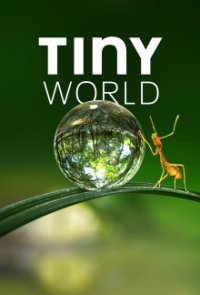 Tiny World Cover, Online, Poster