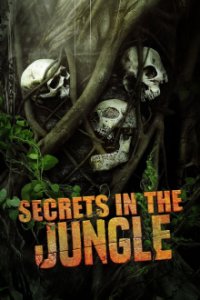 Verborgen im Dschungel Cover, Poster, Verborgen im Dschungel