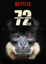 Cover 72 gefährliche Tiere: Asien, Poster, Stream