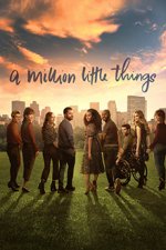 Cover A Million Little Things, Poster, Stream