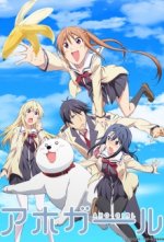 Cover Aho Girl, Poster, Stream