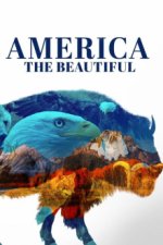 Cover Das schöne Amerika, Poster, Stream