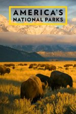 Cover Amerikas Nationalparks, Poster, Stream