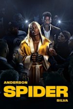 Cover Anderson Spider Silva, Poster, Stream