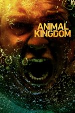 Cover Animal Kingdom, Poster, Stream