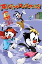 Cover Animaniacs, Poster, Stream