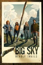 Cover Big Sky, Poster, Stream