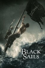 Cover Black Sails, Poster, Stream