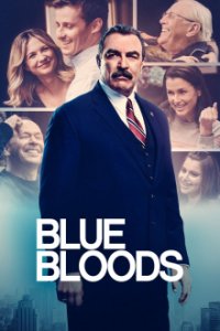 Blue Bloods - Crime Scene New York Cover, Poster, Blue Bloods - Crime Scene New York