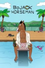 Cover BoJack Horseman, Poster, Stream