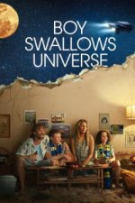 Cover Boy Swallows Universe, Poster, Stream