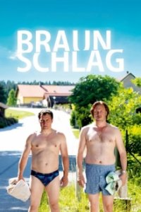 Braunschlag Cover, Online, Poster