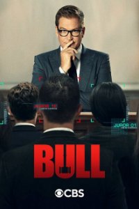 Bull Cover, Poster, Bull