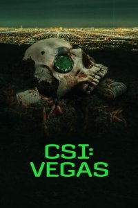 CSI: Vegas Cover, Poster, CSI: Vegas DVD