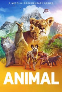 Das Tier Cover, Poster, Blu-ray,  Bild