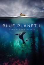 Cover Der blaue Planet, Poster, Stream