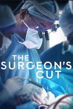 Cover Der chirurgische Schnitt, Poster, Stream