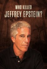 Cover Der Fall Jeffrey Epstein, Poster, Stream