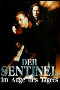 Der Sentinel Cover, Poster, Blu-ray,  Bild