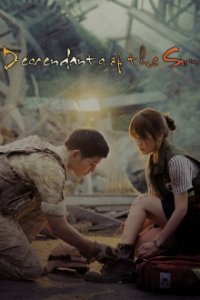 Descendants of the Sun Cover, Poster, Blu-ray,  Bild