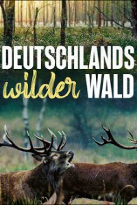 Deutschlands wilder Wald Cover, Poster, Blu-ray,  Bild
