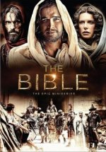 Cover Die Bibel, Poster, Stream