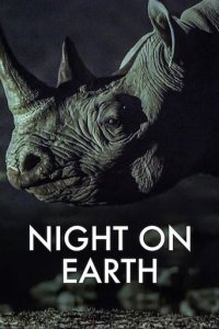 Die Erde bei Nacht Cover, Poster, Blu-ray,  Bild