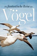 Cover Die fantastische Reise der Vögel – Federleicht und flügelweit, Poster, Stream