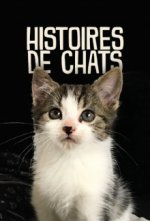 Cover Die geheime Welt unserer Katzen, Poster, Stream