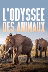 Cover Die Odyssee der Tiere, TV-Serie, Poster