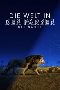 Cover Die Welt in den Farben der Nacht, TV-Serie, Poster
