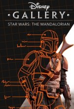 Cover Disney Gallery / Star Wars: The Mandalorian, Poster, Stream