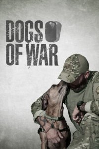 Cover Dogs of War – Hilfe auf vier Pfoten, TV-Serie, Poster