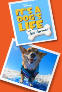Cover Ein Hundeleben mit Bill Farmer, Poster Ein Hundeleben mit Bill Farmer