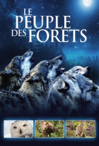 Eine Welt aus Wäldern Cover, Poster, Blu-ray,  Bild